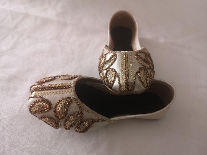 Ballerine pakistanaise - photo numéro 2