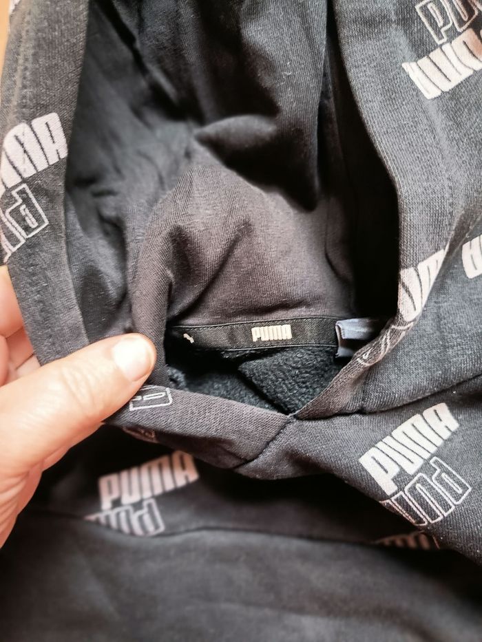 Pull puma - photo numéro 3