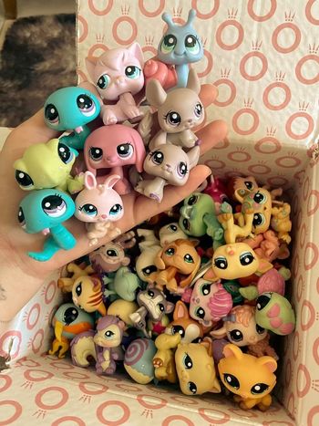 Recherche gros lot petshop pour petit budget