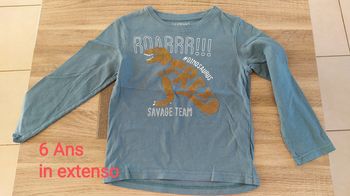 T -shirt manches longues 6 ans in extenso