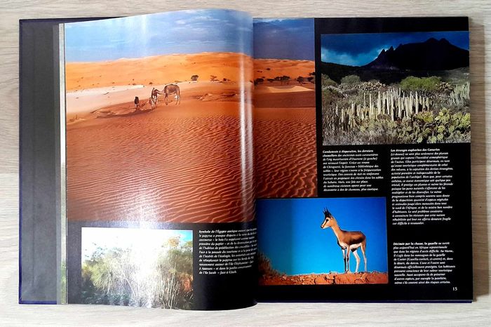 du maroc à la mer rouge - regards sur le monde - photo numéro 3