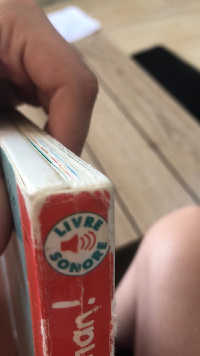 Livre sonore papa et maman - photo numéro 8