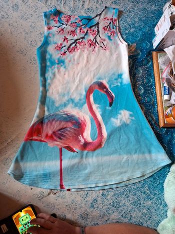 Robe flamand rose 12 ans