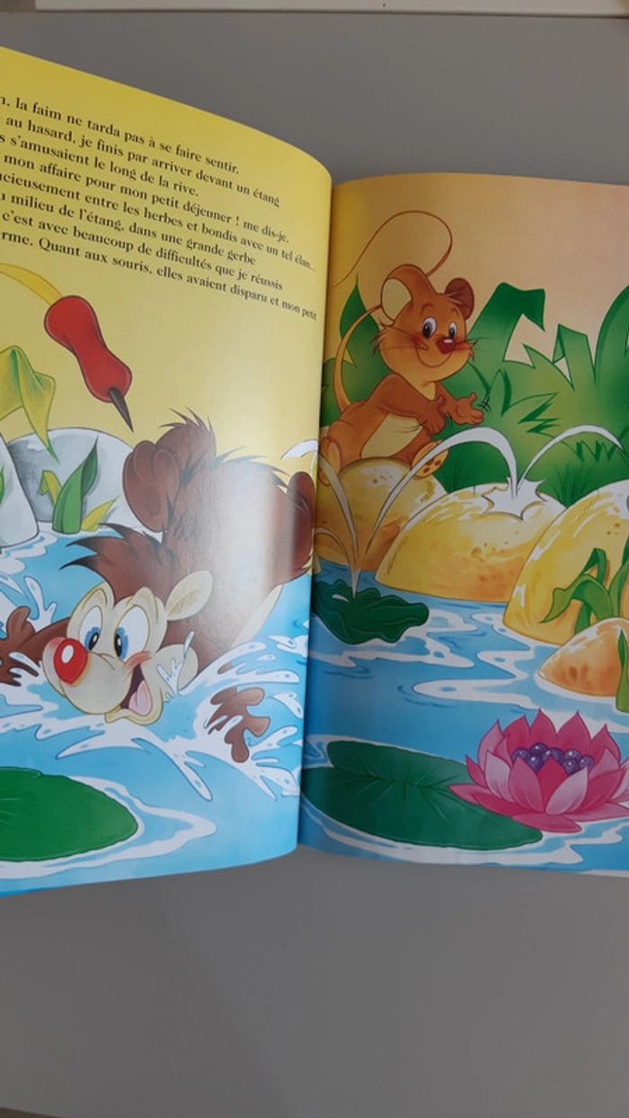 Lot de 2 grands livres "La belle histoire de" - photo numéro 9