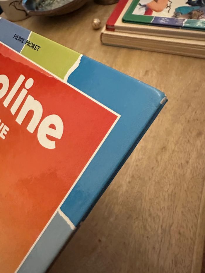 Pierre Probst - Caroline en Russie collection damier bords colorés livre bd album rare - photo numéro 9