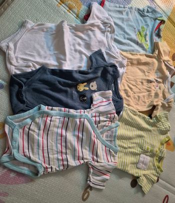 Lot de 6 bodies 