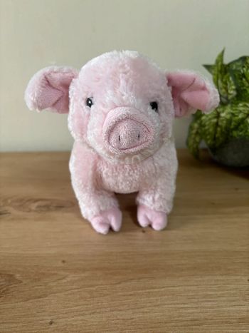 Doudou peluche cochon rose soft friends 22 cm