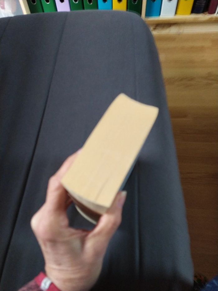 Mémoire infidèle d'Elizabeth George - photo numéro 4