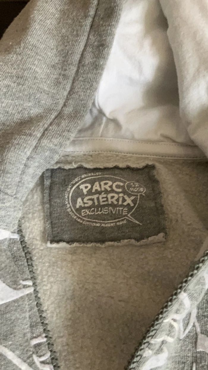 Sweat Capuche. Idéfix. Parc Astérix. - photo numéro 2