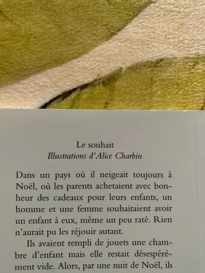 Le souhait - photo numéro 2