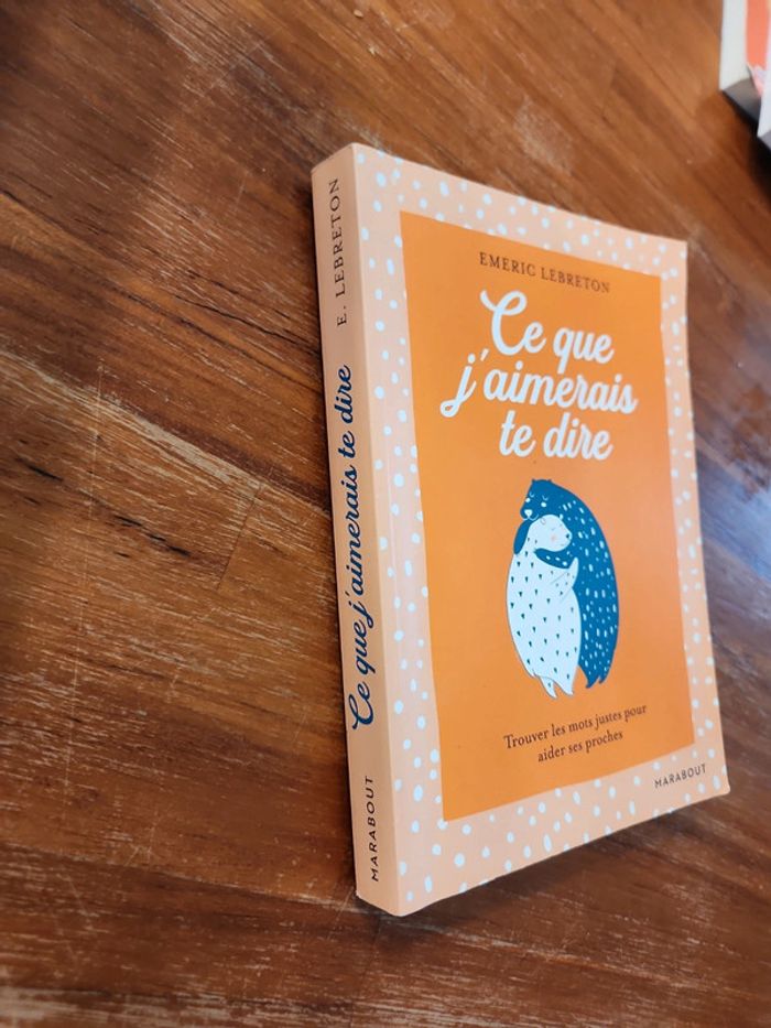 Livre : Ce que j'aimerai te dire - photo numéro 2