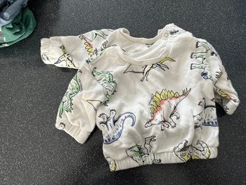 Pull dinosaure