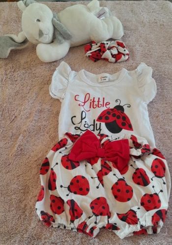 Ensemble coccinelle