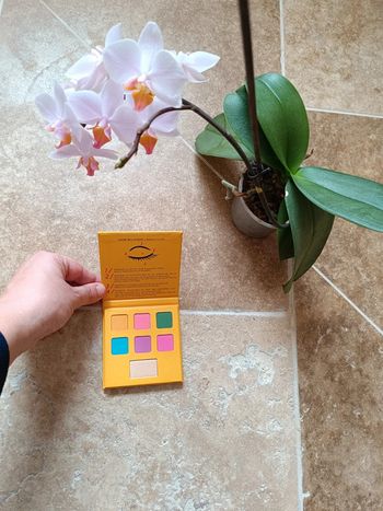 Palette de maquillage Adopt