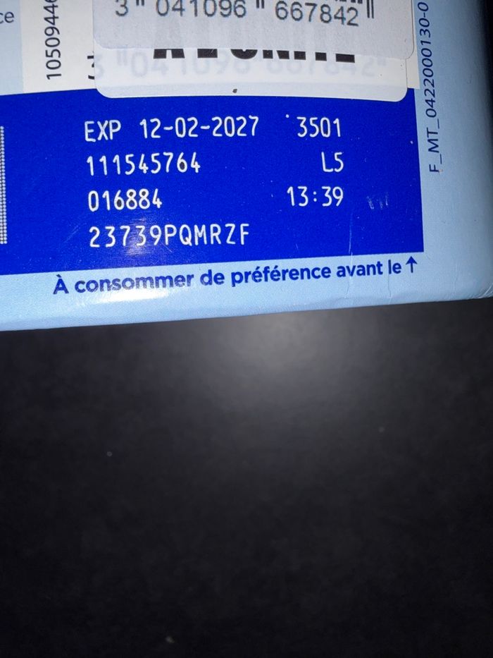 Gallia calisma 3 - photo numéro 2