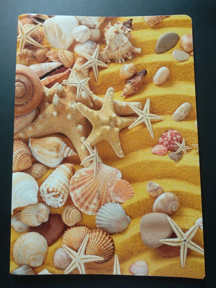 Cahier A4 grands carreaux