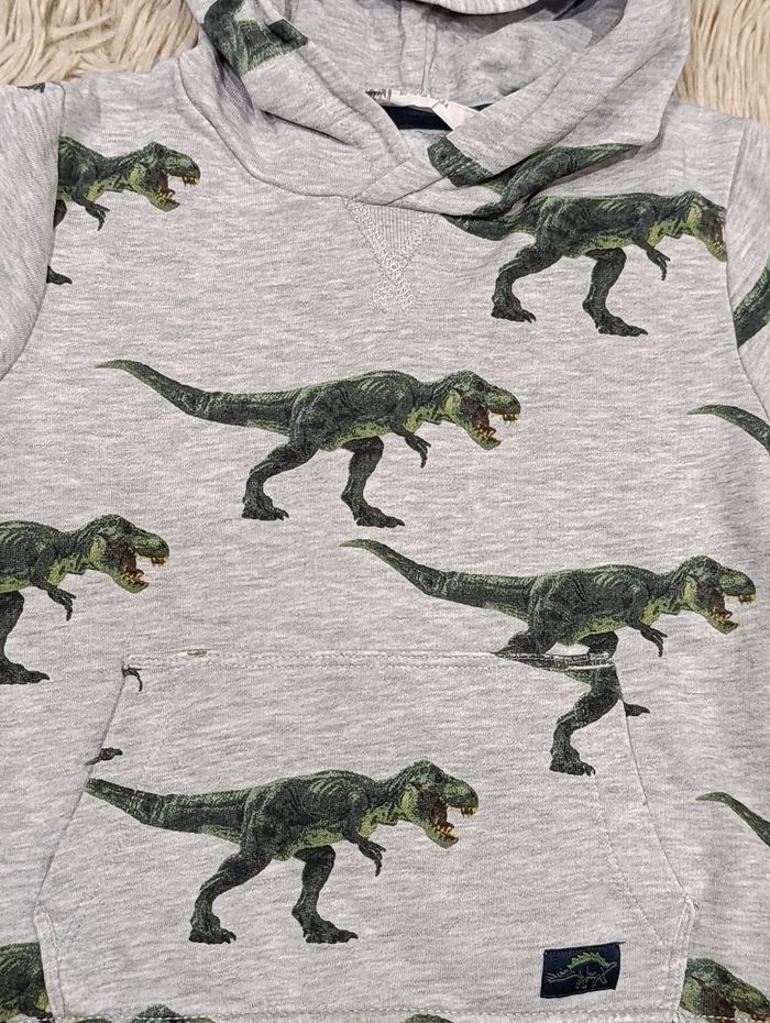 Sweat à capuche dinosaure - photo numéro 3