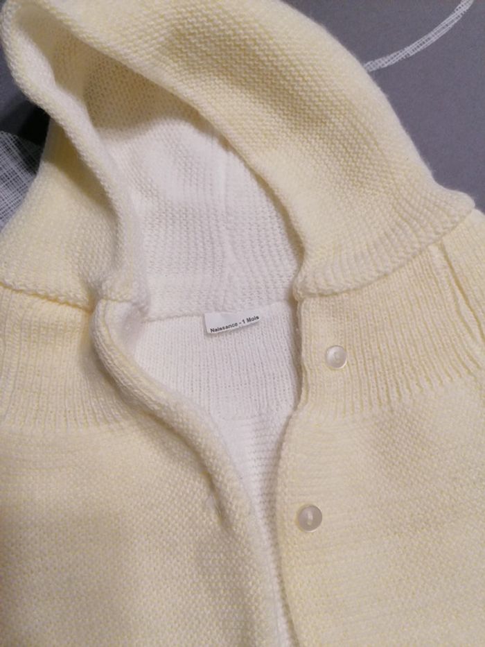 Gros gilet à capuche en laine 1 mois - photo numéro 2