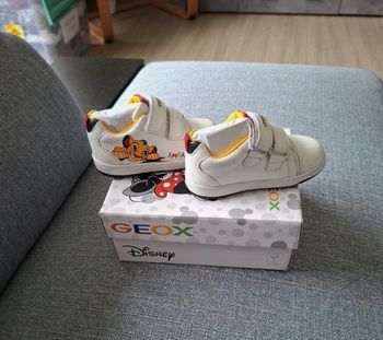 Basket T23 geox