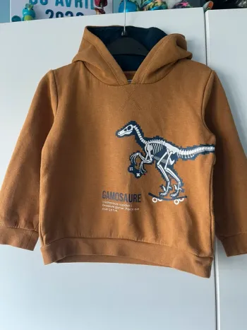 Pull dinosaure