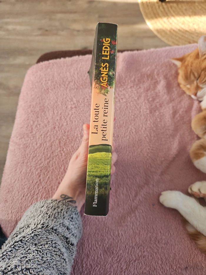 Livre - photo numéro 4