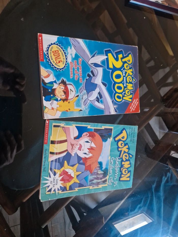 Livres pokemon vintage