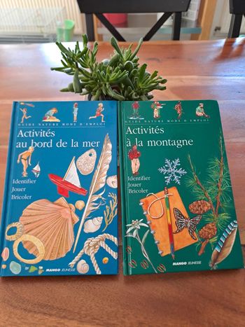 Lot de 2 livres activités au bord de mer et à la Montagne