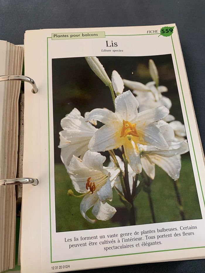 Soins et beauté des plantes - 1140 fiches explicatives - Série complète 6 classeurs + livre index - photo numéro 2
