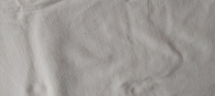 Tshirt manche courte 14 ans - photo numéro 8