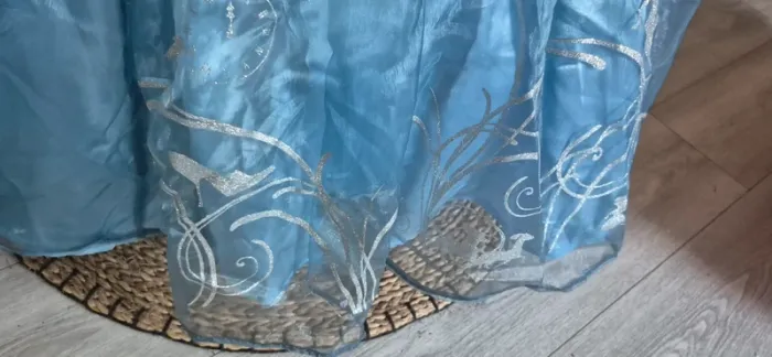 Robe disney princesse - photo numéro 13