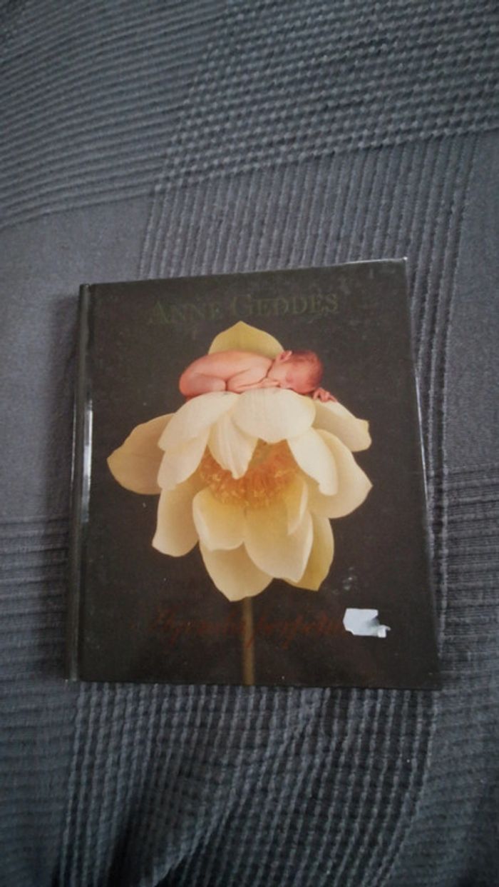 Agenda perpétuel anne geddes - photo numéro 2