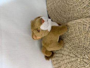 La Compagnie Des Ours - Adorable lionceau en peluche réaliste