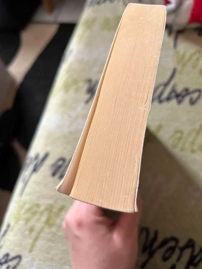 Rivalité - photo numéro 3