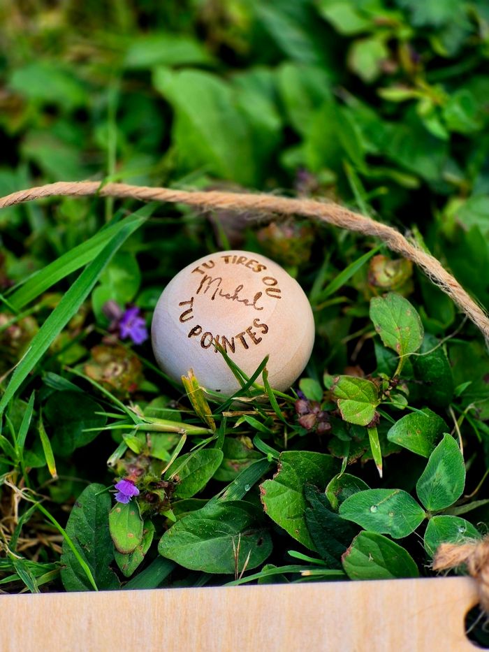 Compteur de pétanque - photo numéro 7