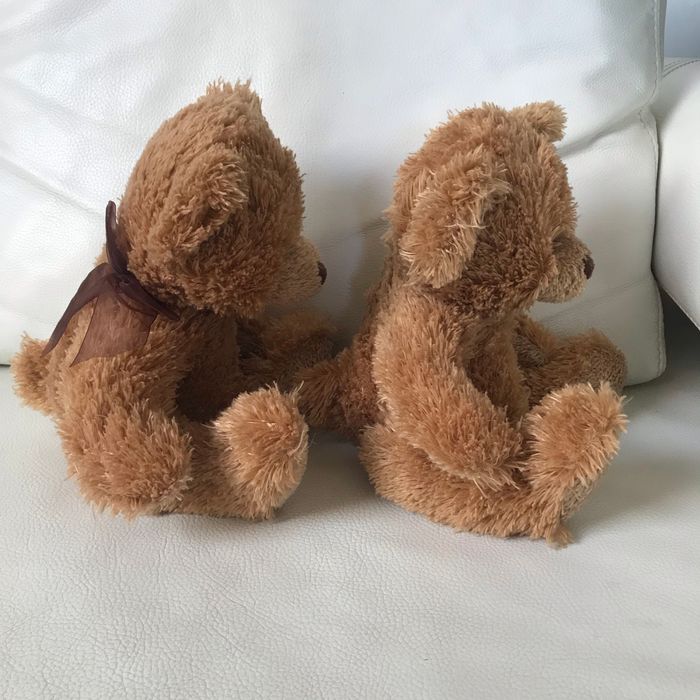 2 grands ours brun identiques - photo numéro 2