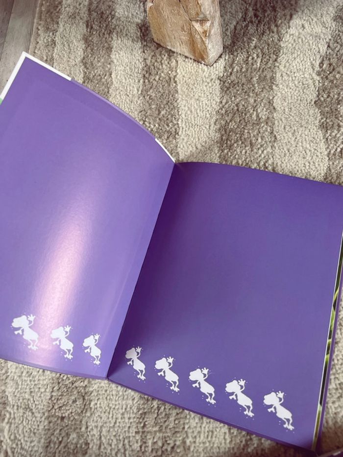 Livre stig et lumi chez madame reinette Neuf - photo numéro 3