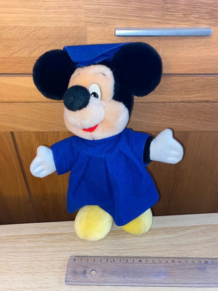 Peluche Mickey mouse Disney Disneyland Paris eurodisney diplôme étudiant baccalauréat graduation