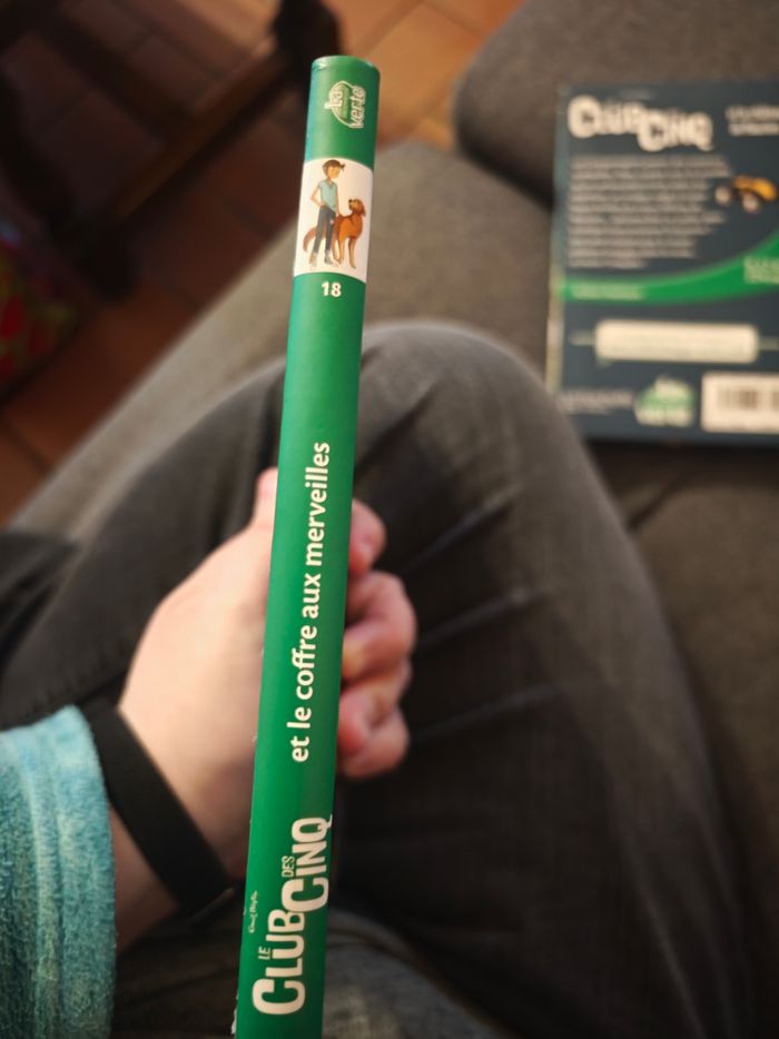 Le Club des Cinq et le coffre aux merveilles (tome 18) - photo numéro 4