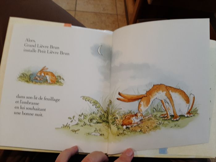 Livre  "Devine combien je t'aime" - photo numéro 5