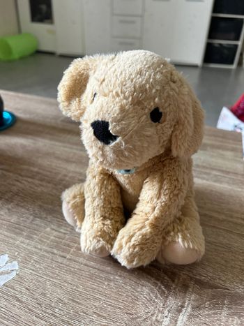 Peluche bbb