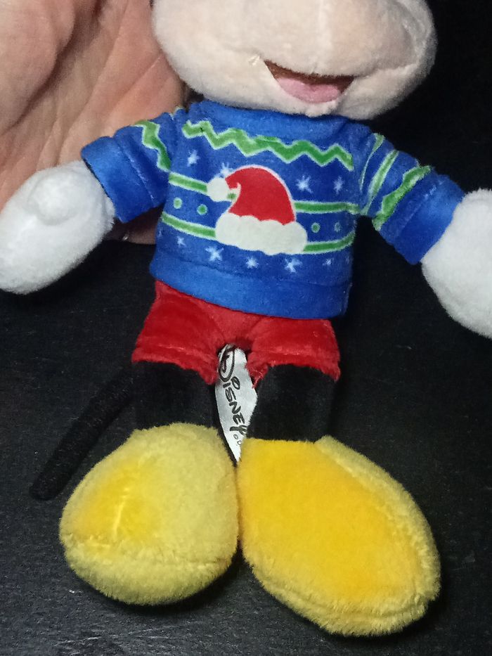 Mickey - photo numéro 3