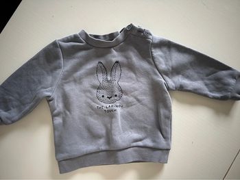 Pull gris lapin  Kiabi