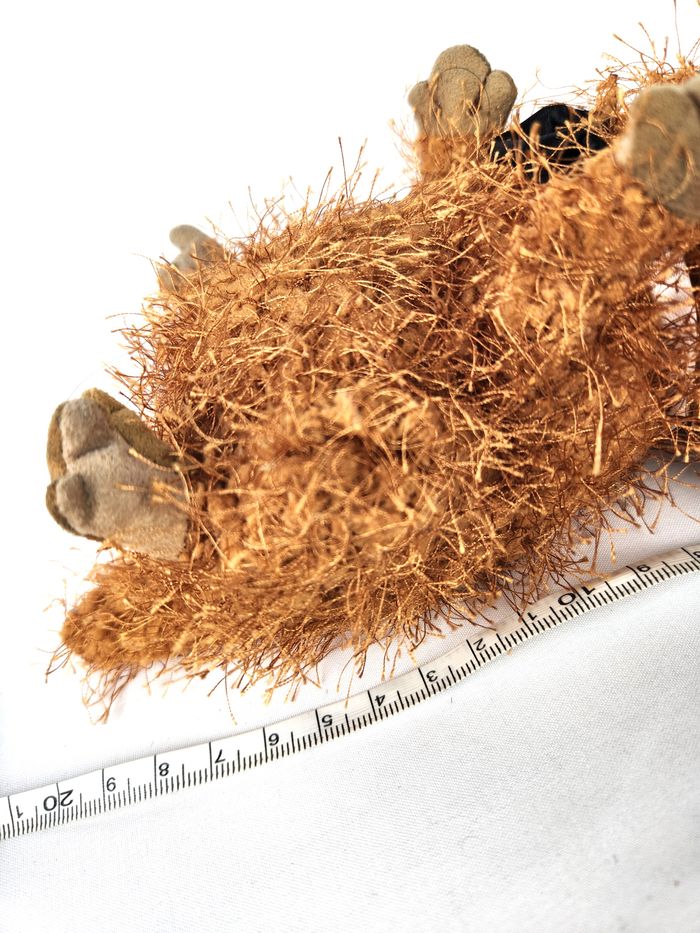 Peluche Ty Beanie Baby - Punxsutawney Phil - 2005 - Collector - photo numéro 7