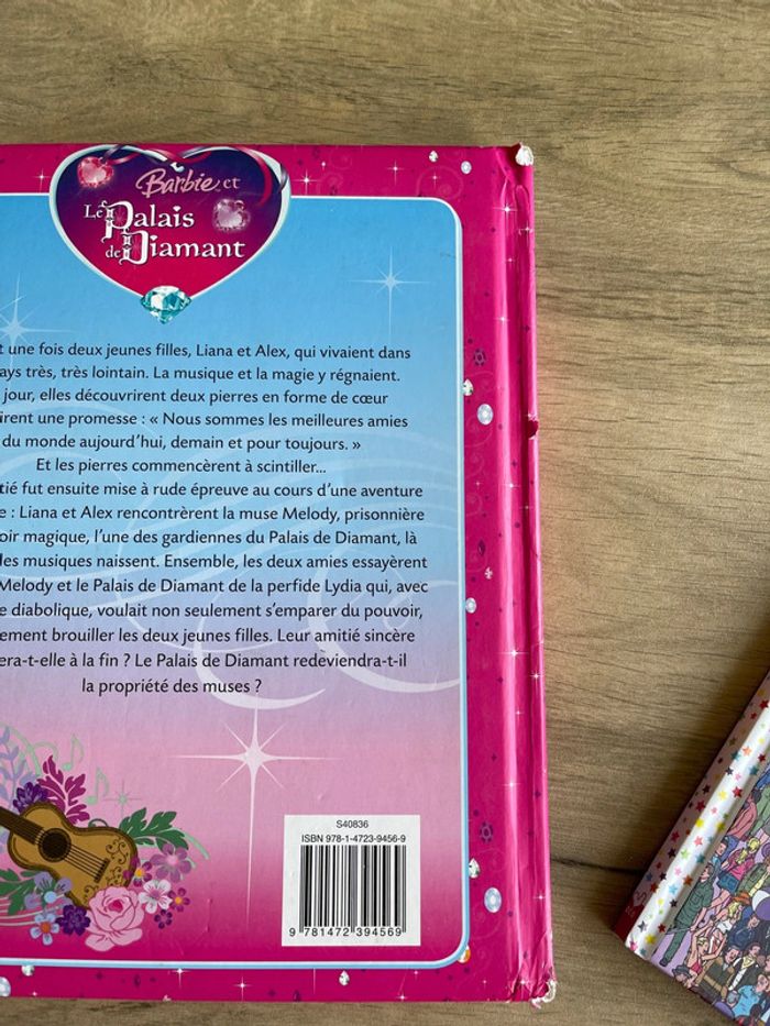 Livre pour filles - photo numéro 5