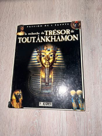 La recherche du trésor de toutankhamon