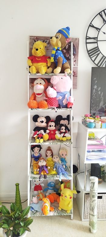 Gros lot de peluche Disney 💐