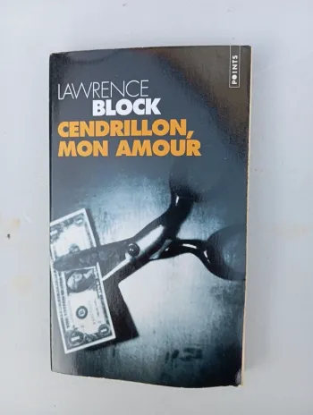 Livre Cendrillon, mon amour