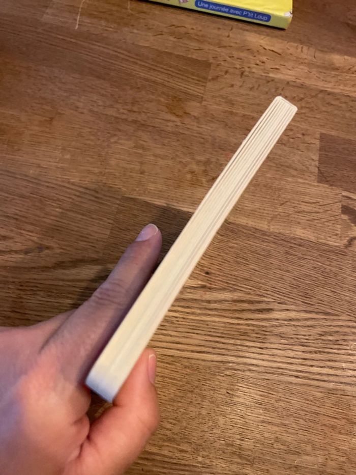 Livre cartonné P’tit Loup aimé sa nounou - photo numéro 5