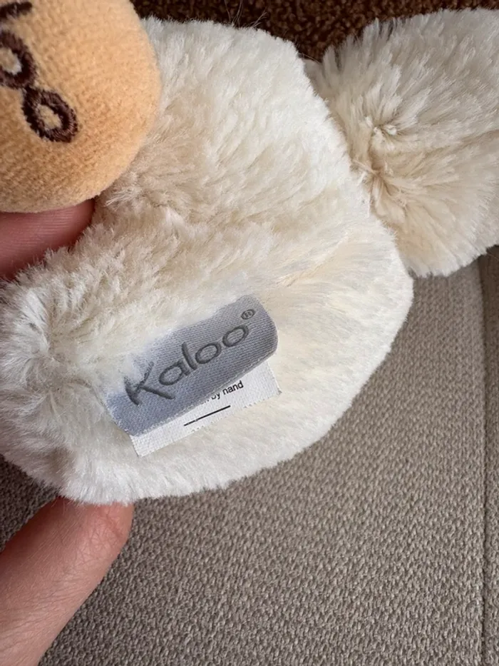Ours kaloo - photo numéro 4