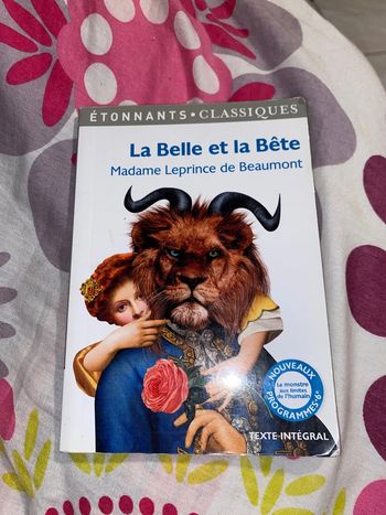 Livre la belle et la bête
